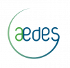 Aedes